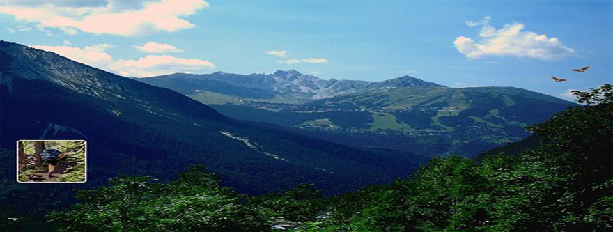Photo of Courchevel